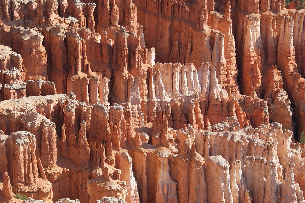 Discovering the Beauty of Bryce Canyon’s Hoodoos